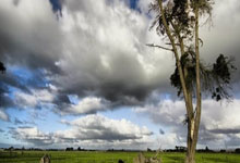 积分首登亚洲第一，吴艳妮：希望对手们放马过来，一起比出精彩比赛吴艳妮微博.