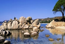 欧陆娱乐官网：俄媒：男网前世界第一萨芬加入卢布列夫团队.